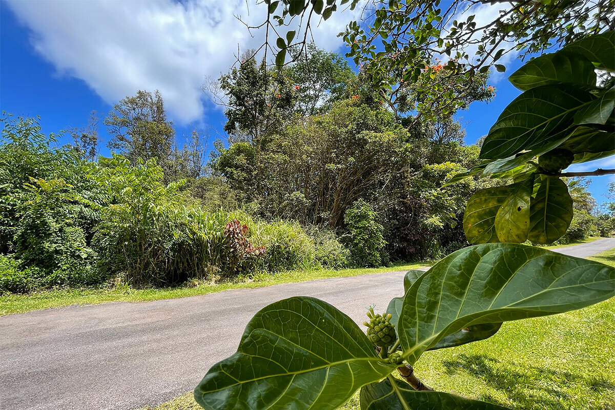 Ocean View Pkwy  Pahoa HI 96778 photo