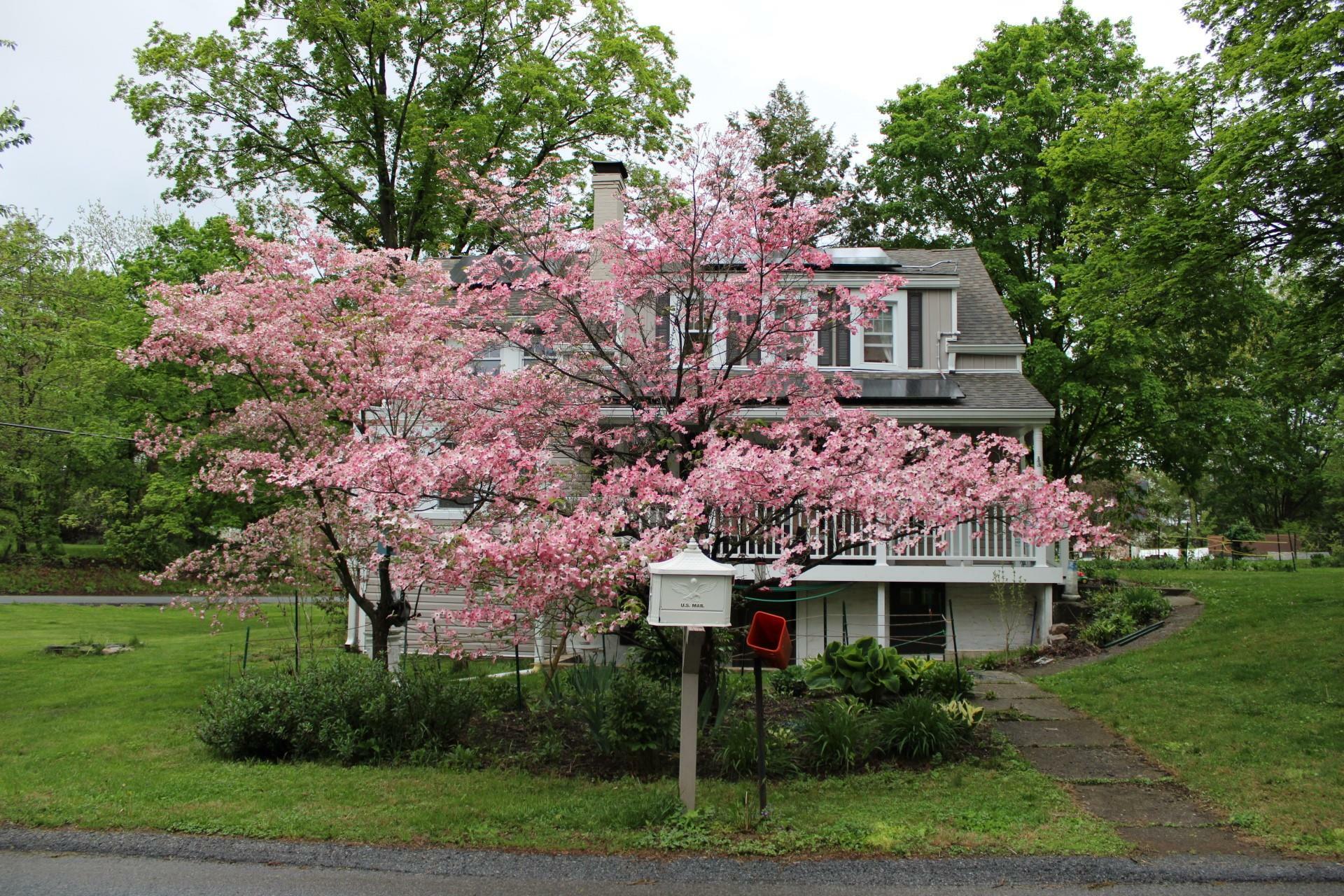 Property Photo:  21 Overlook Road  NY 12603 