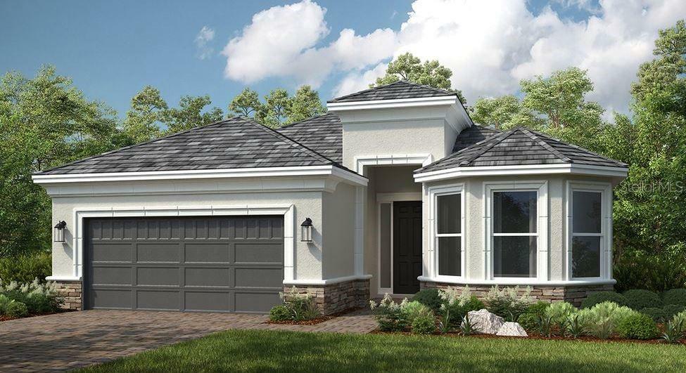 29807 Imperati Boulevard  Wesley Chapel FL 33543 photo