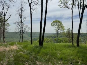 Property Photo:  Tract F Ar 7 South  AR 72641 