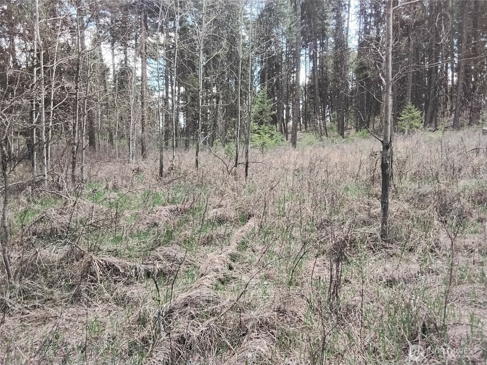 Property Photo: 44 Trapline Loop Road WA 98844