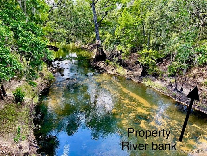 Property Photo:  Tbd Cortez Boulevard  FL 33523 