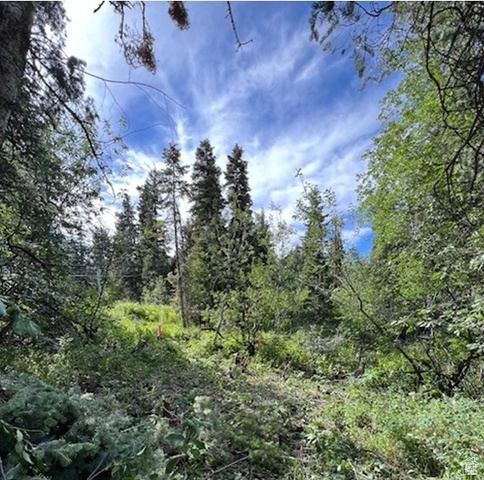 Property Photo: 195 Saint Moritz Strasse 87 UT 84098
