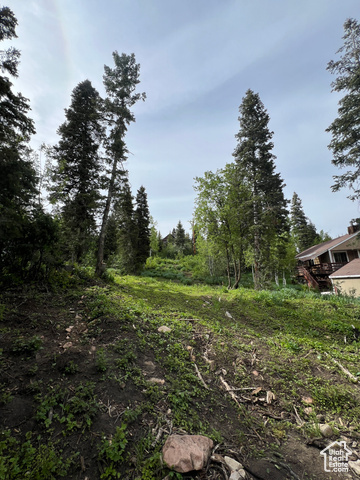 Property Photo: 195 Saint Moritz Strasse 87 UT 84098