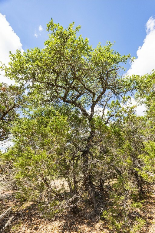 Property Photo:  21 Sitting Bull Road  TX 78676 