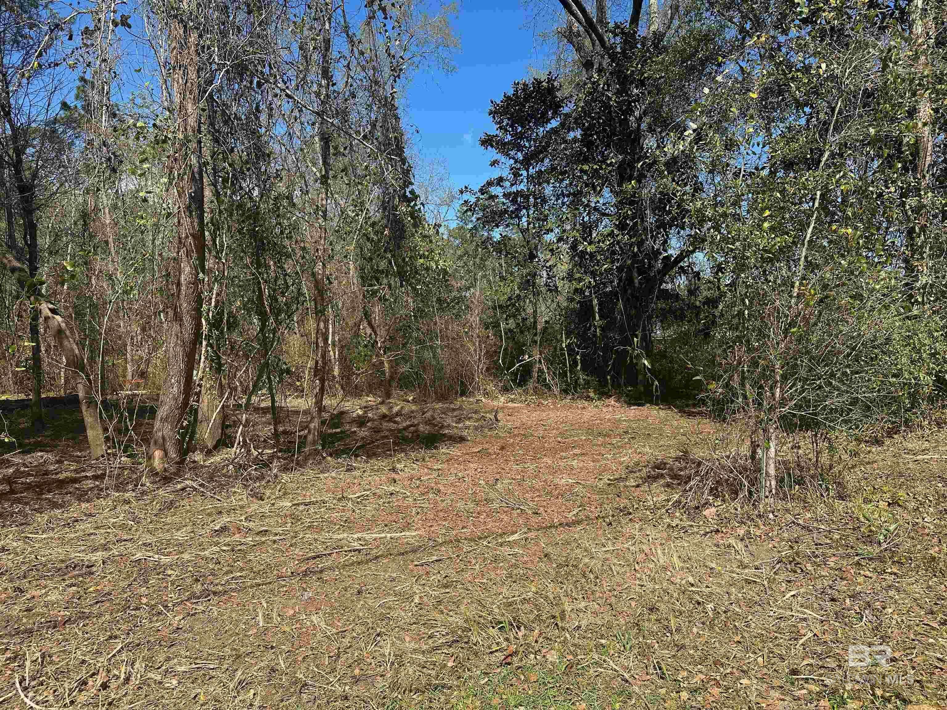 Property Photo: 00 Boykin Boulevard AL 36549