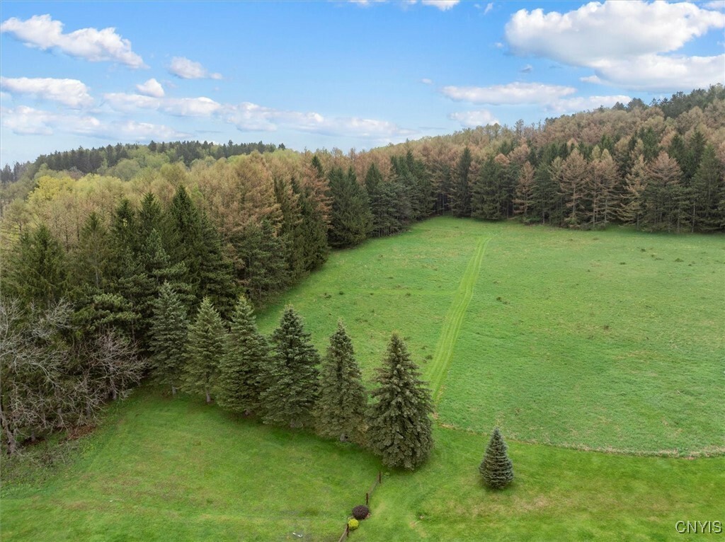 Property Photo: 0 Bonney Hill Road NY 13346