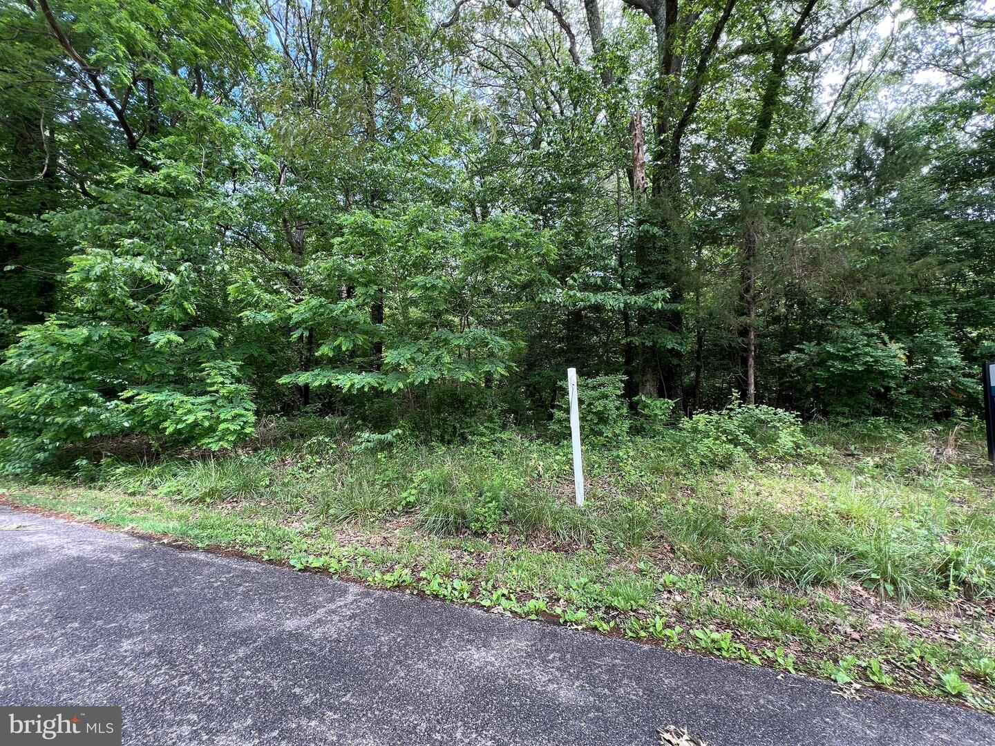 Property Photo:  384 Deer Drive  MD 20657 