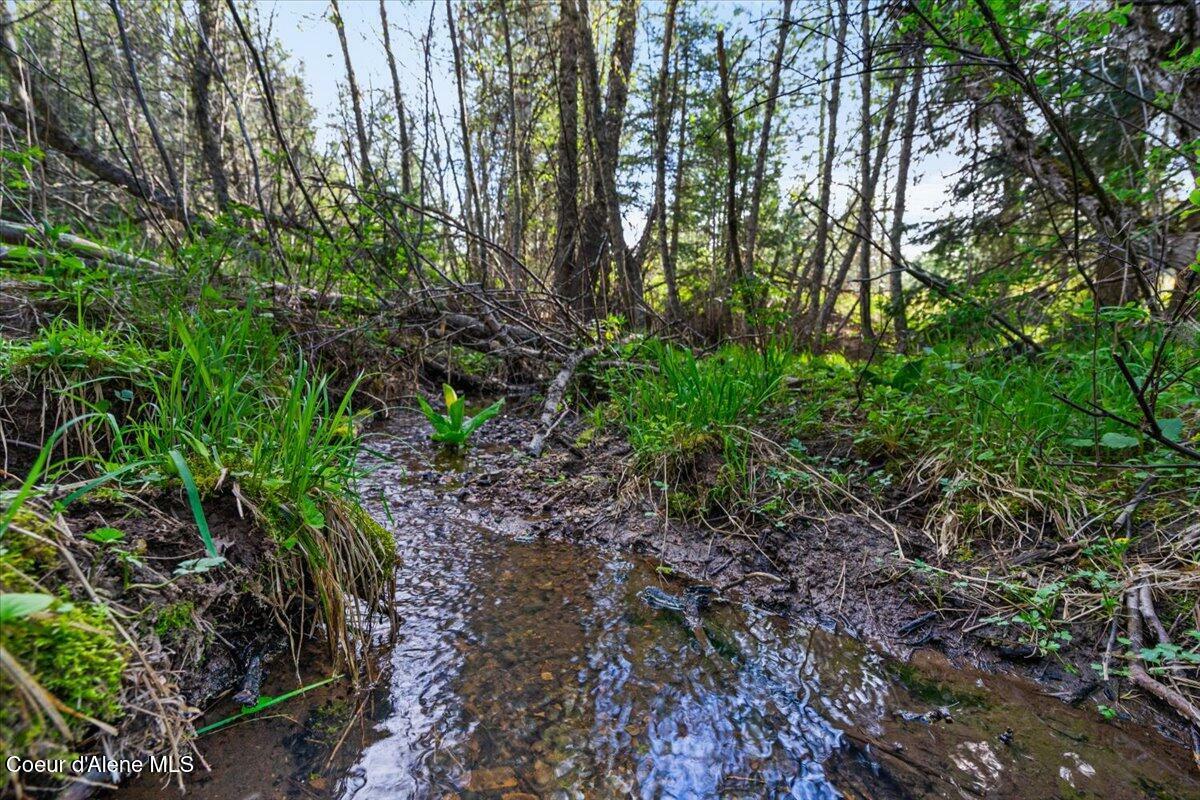 Property Photo: Nka Mutch Creek Road ID 83861