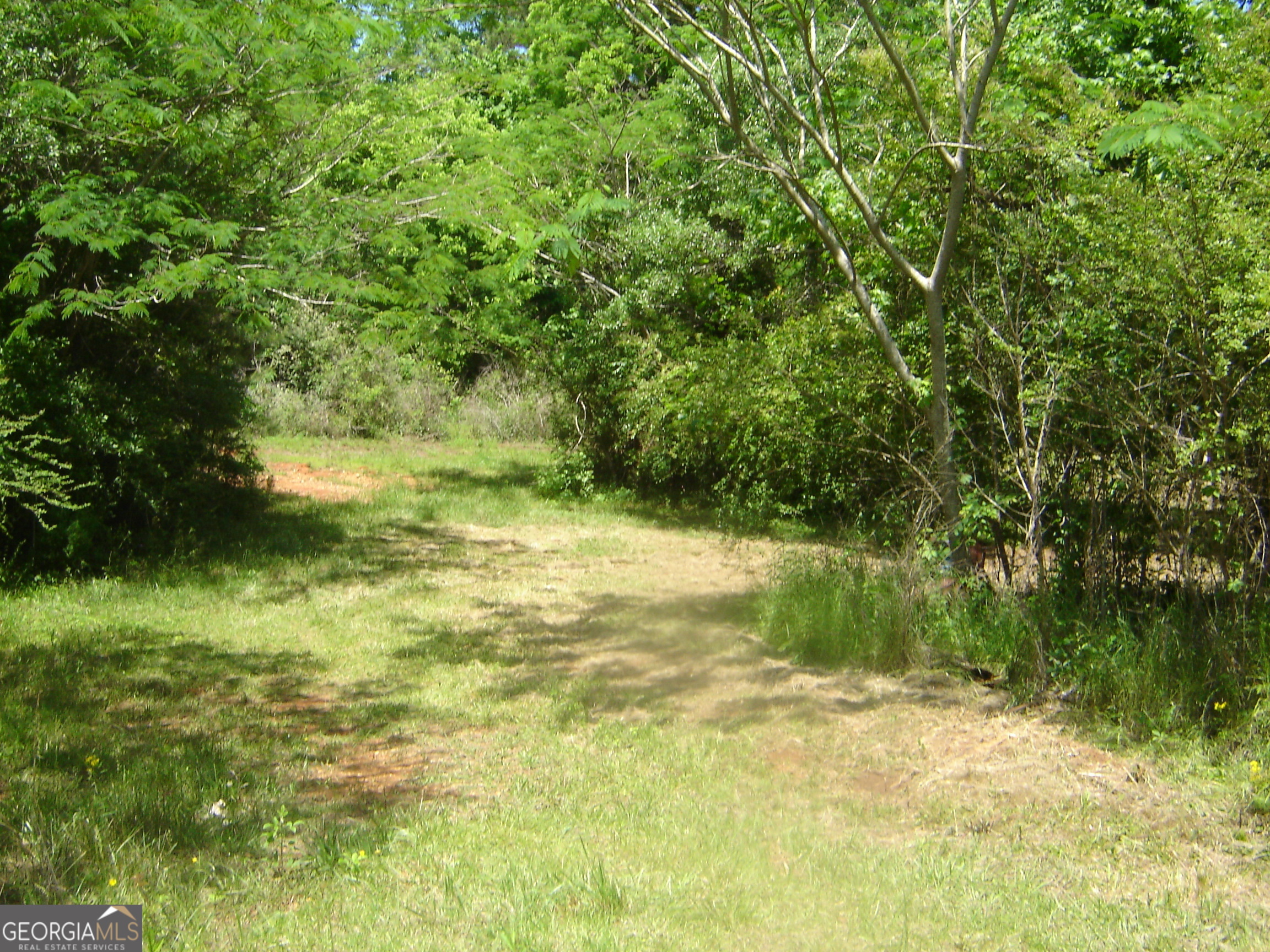 Property Photo: 0 County Road 213 AL 36863