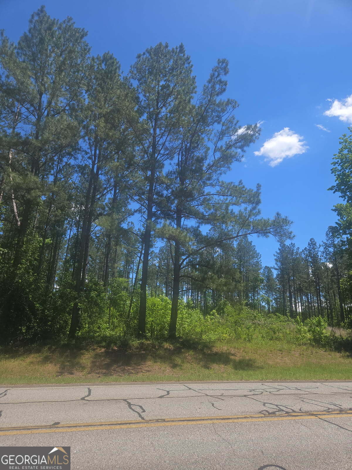 Property Photo: Lot #4 Highway 123 GA 30820