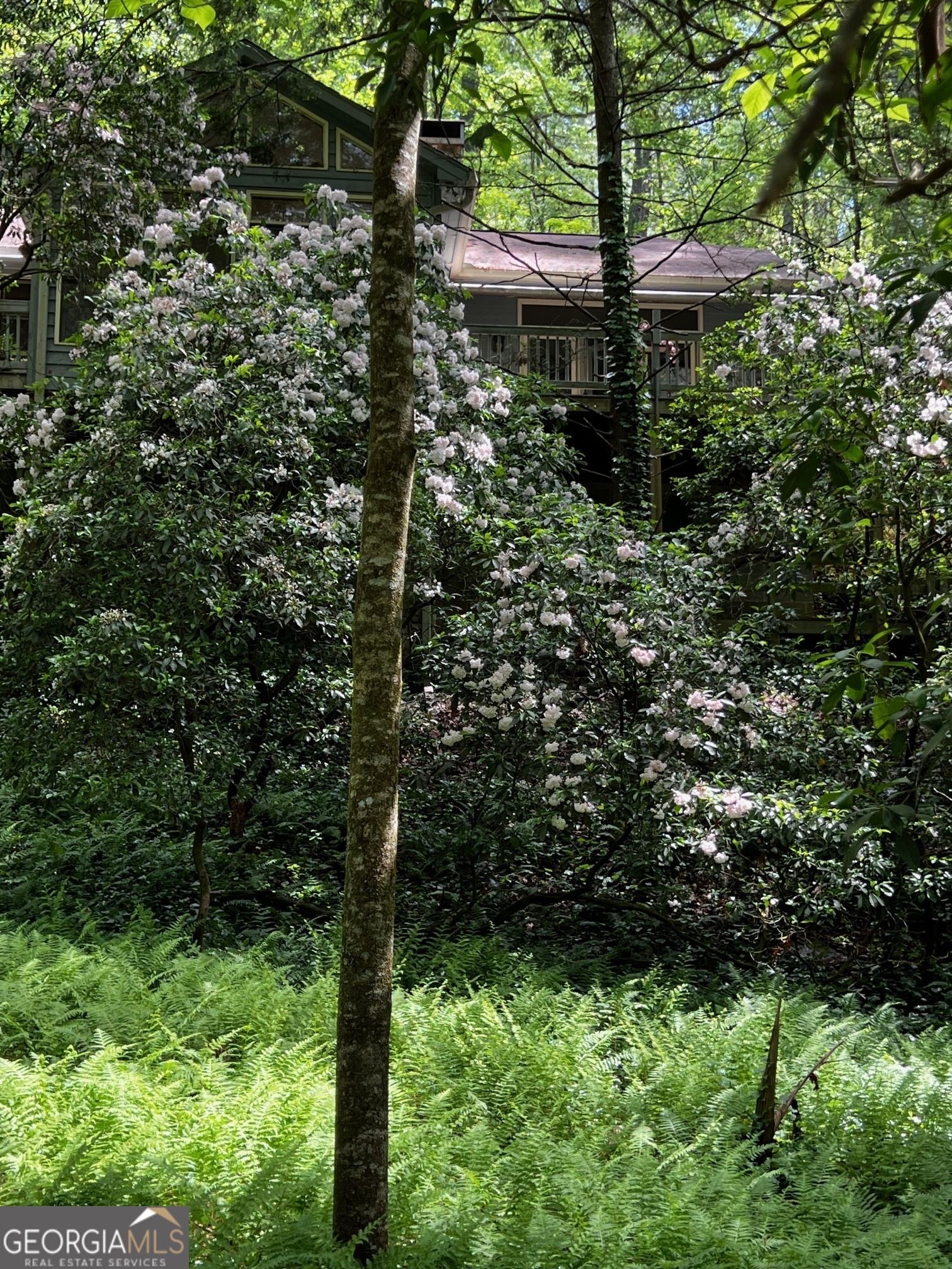 Property Photo: 105 Chinquapin Lane GA 30523