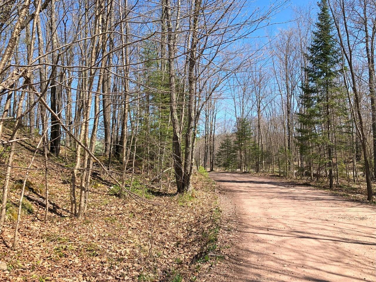 Property Photo: Lot 35 Alpine Dr WI 54565