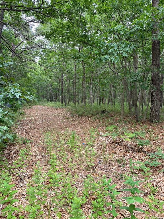 Property Photo: Vl Bay Drive NY 11949