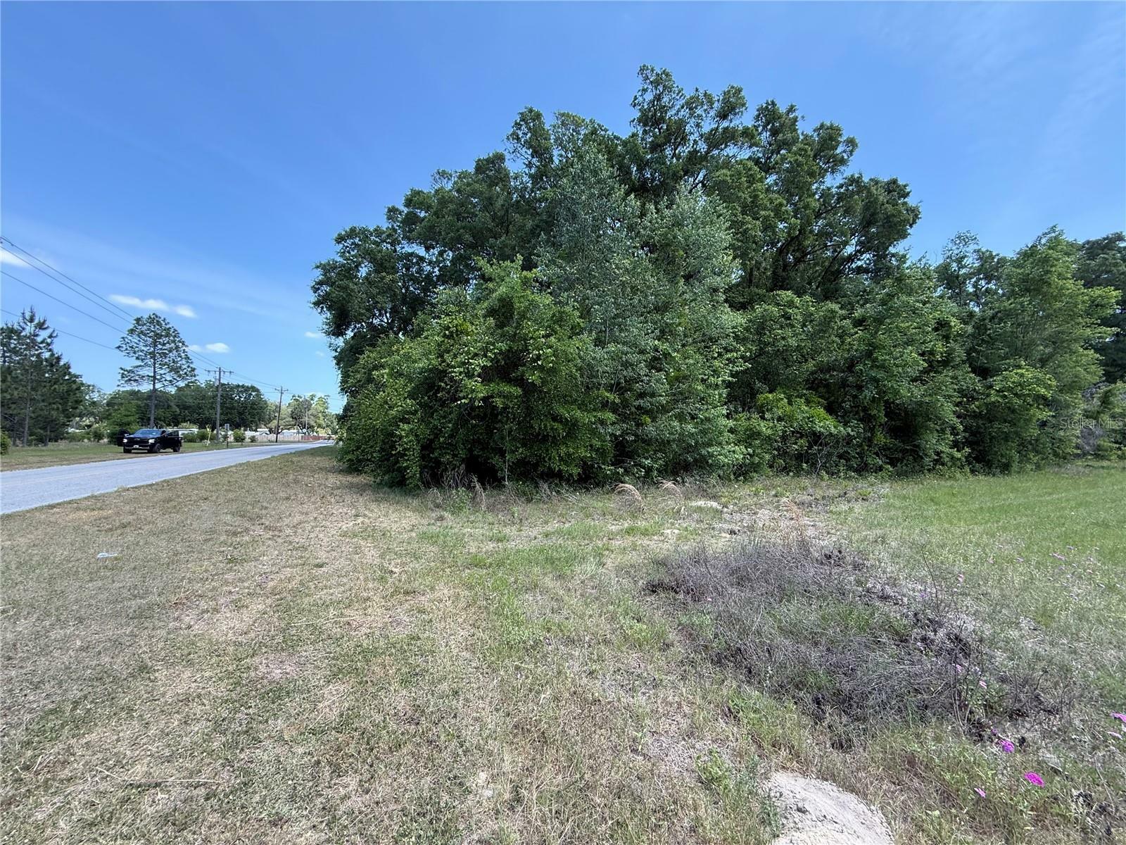 0 NW 11th Avenue  Chiefland FL 32626 photo