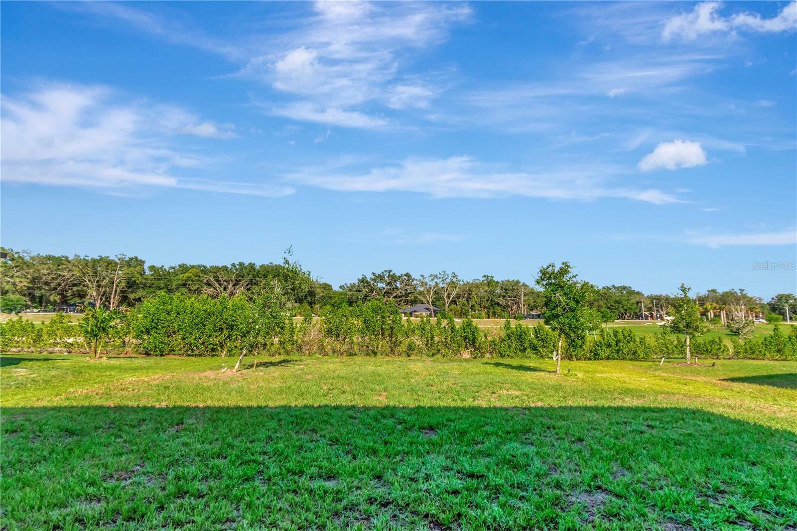 Property Photo:  9734 Branching Ship Trace  FL 33545 