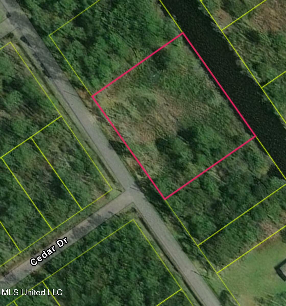 Property Photo: 9078 Bayou Drive MS 39520