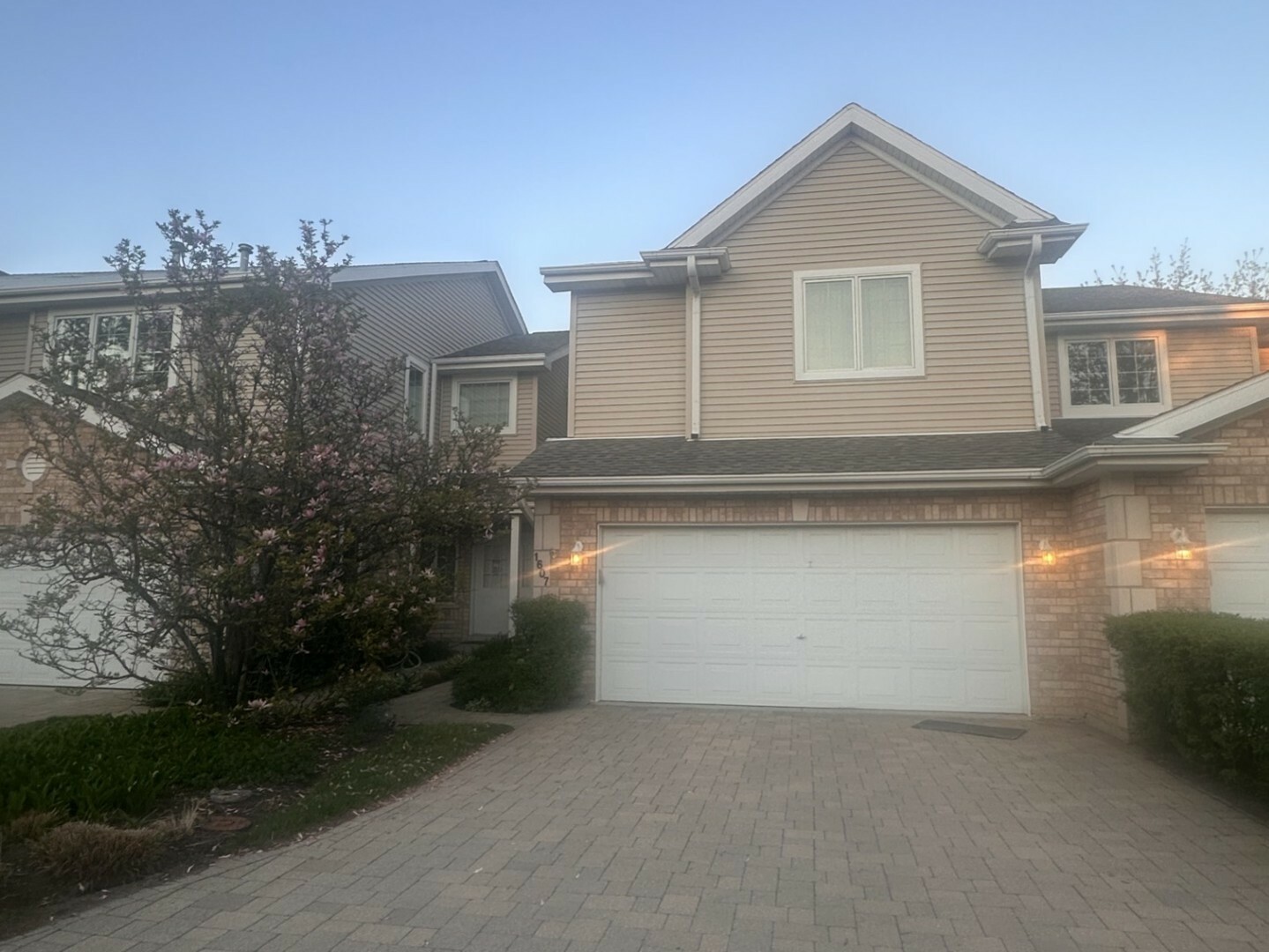 Property Photo: 1607 Park Ridge Point IL 60068