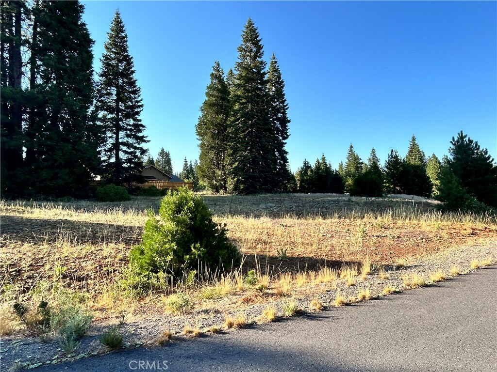 Property Photo: 179 Treetop Circle CA 96137