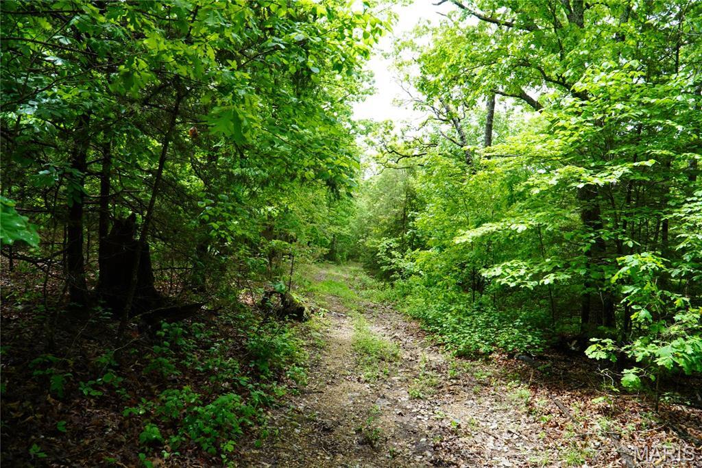Property Photo:  1 Topaz  MO 65556 
