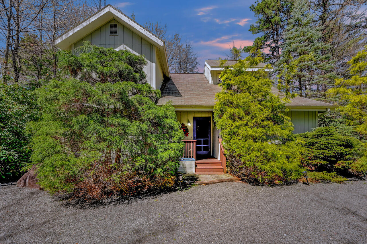 Property Photo: 264 Tanglewood Drive PA 18350