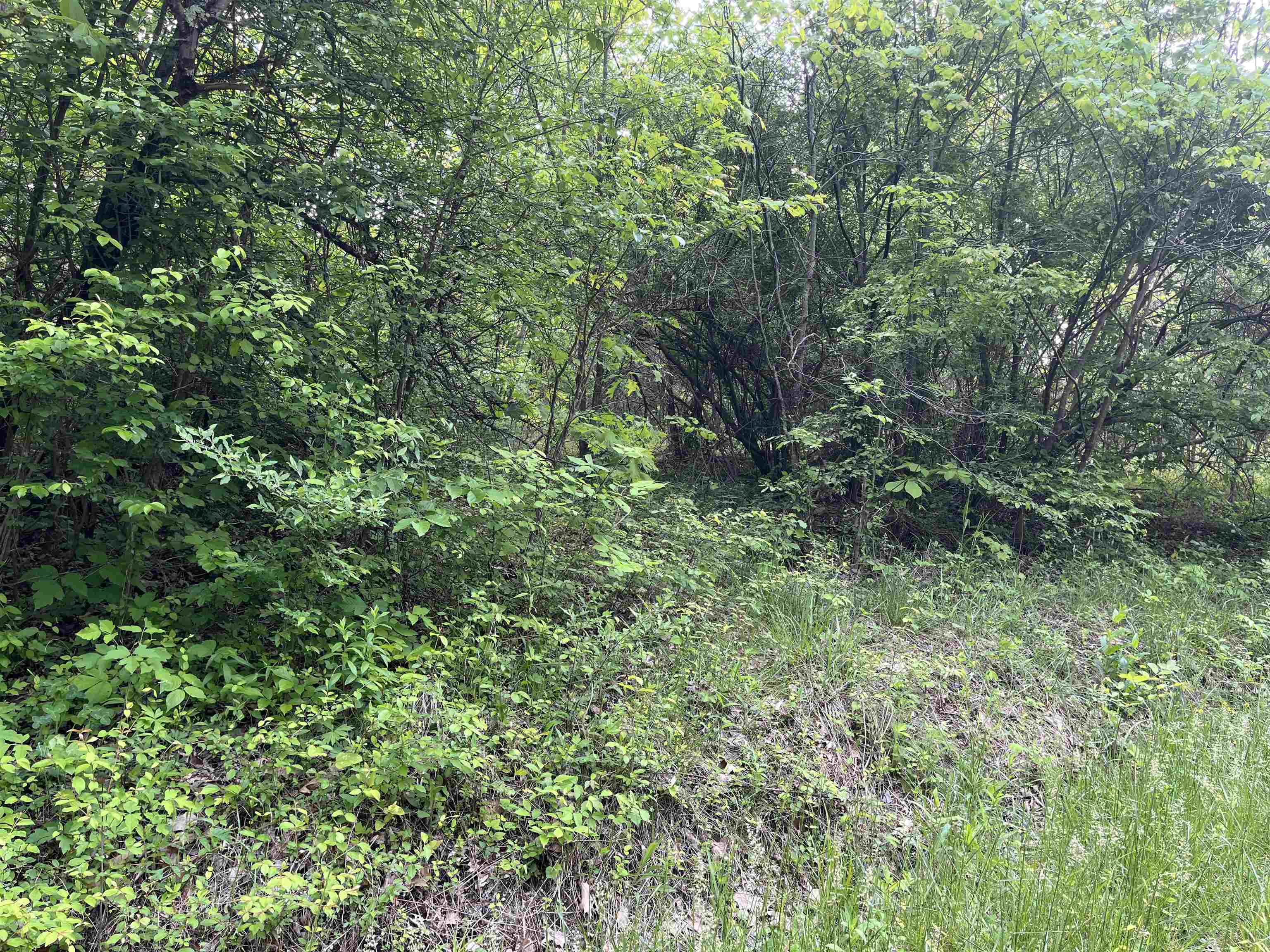 Property Photo: 00 Township Road 160 OH 45659