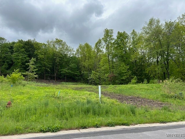 Property Photo: 4951 Big Vista Drive NY 14092