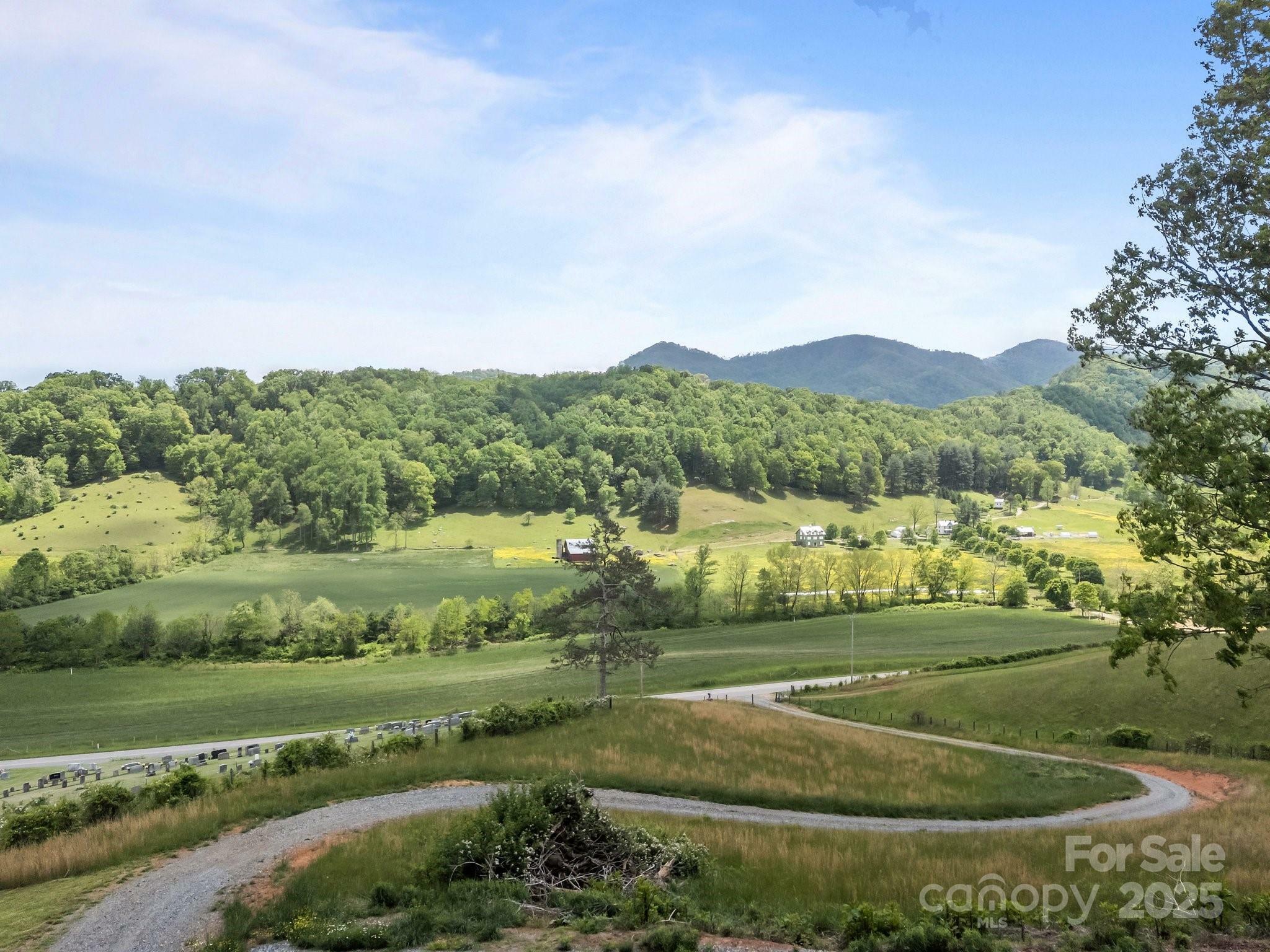 Property Photo: 411 Big Sandy Mush Road NC 28748