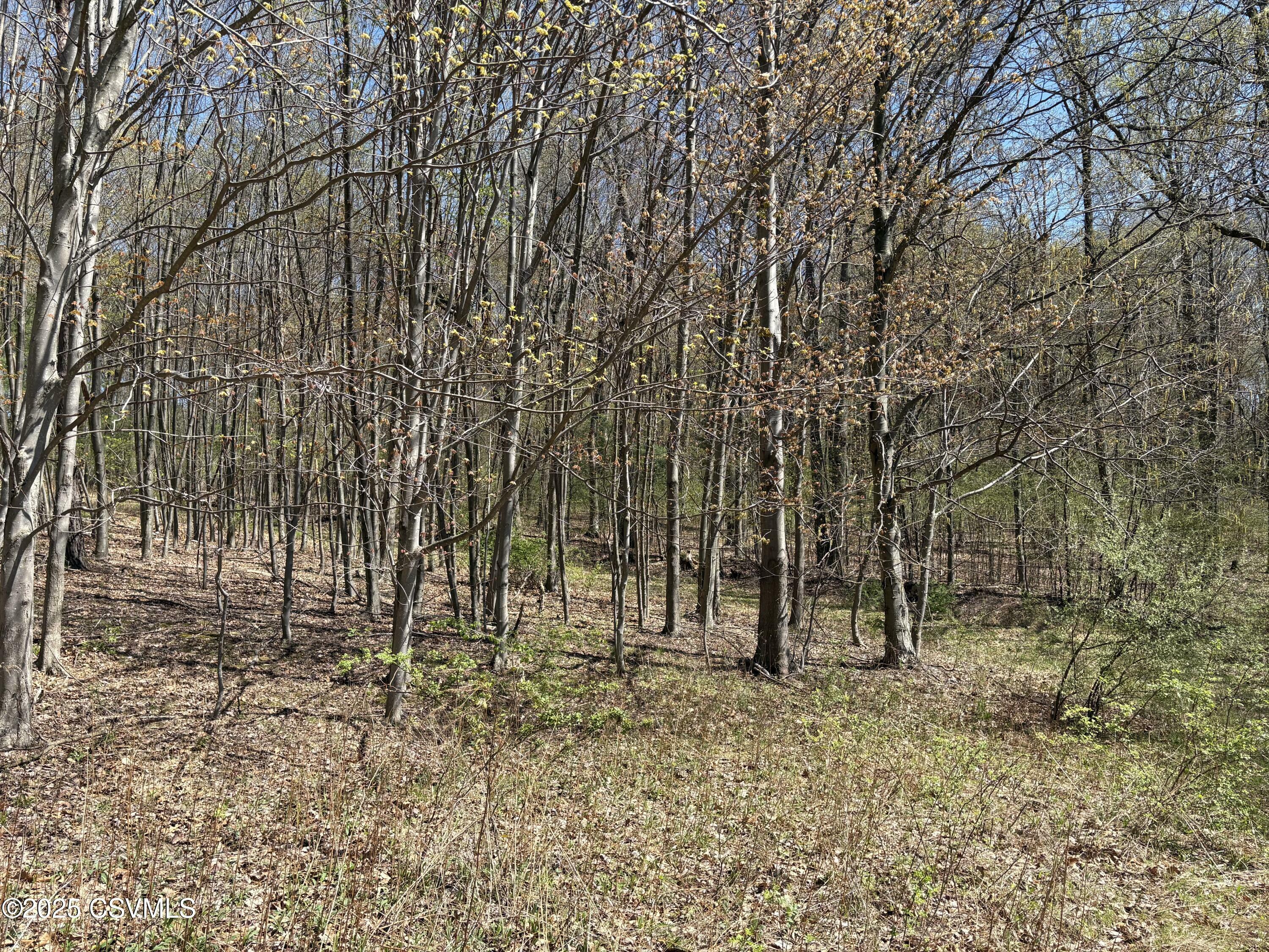 Property Photo: Dog Leg Lane PA 17820