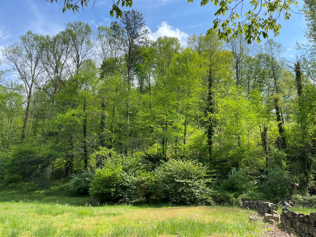 Property Photo: 1616 Rockcastle Road KY 41224