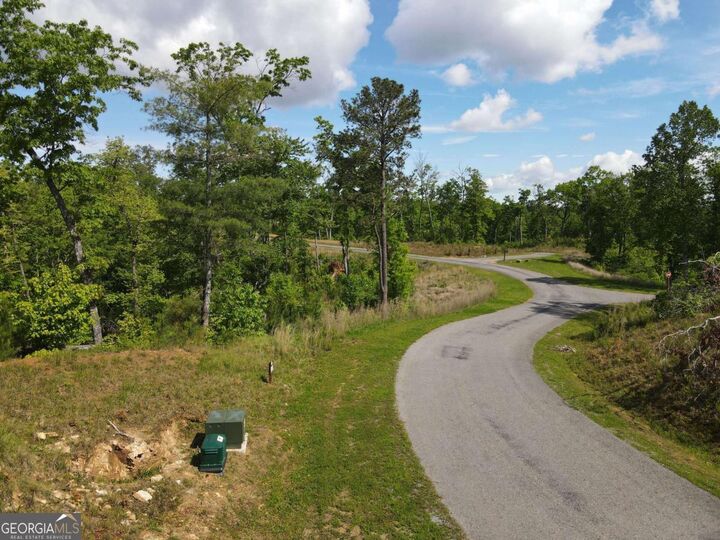 Property Photo:  Lot 108 High River  GA 30540 