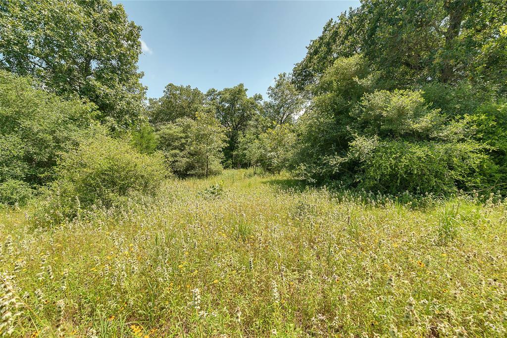 Parcel 19231 County Road 215  Weimar TX 78962 photo