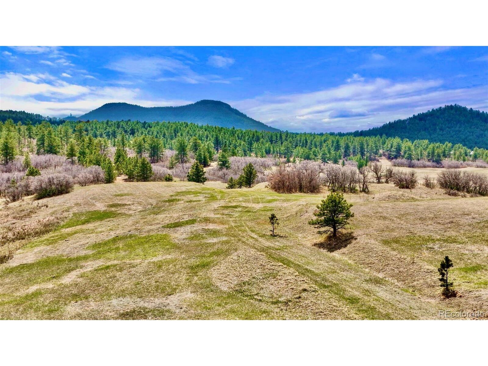 Property Photo: 2 S Perry Park Rd CO 80118