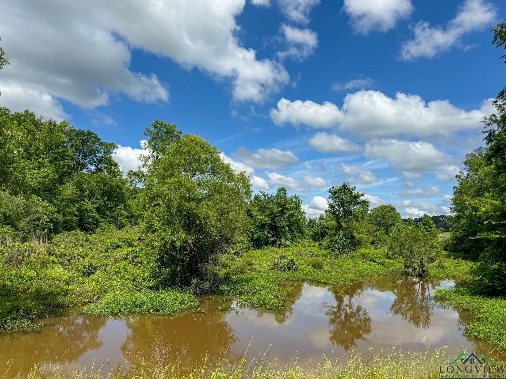 Property Photo: 0000 Fm 161 TX 75656