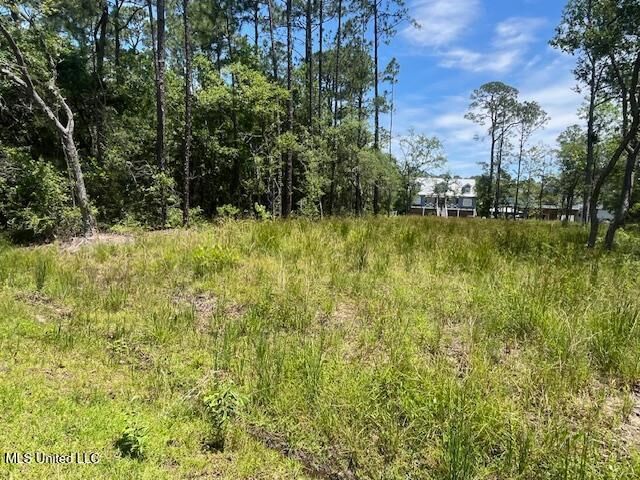 Property Photo: Lot 20 Birch , Lot 23 Pinewood MS 39571