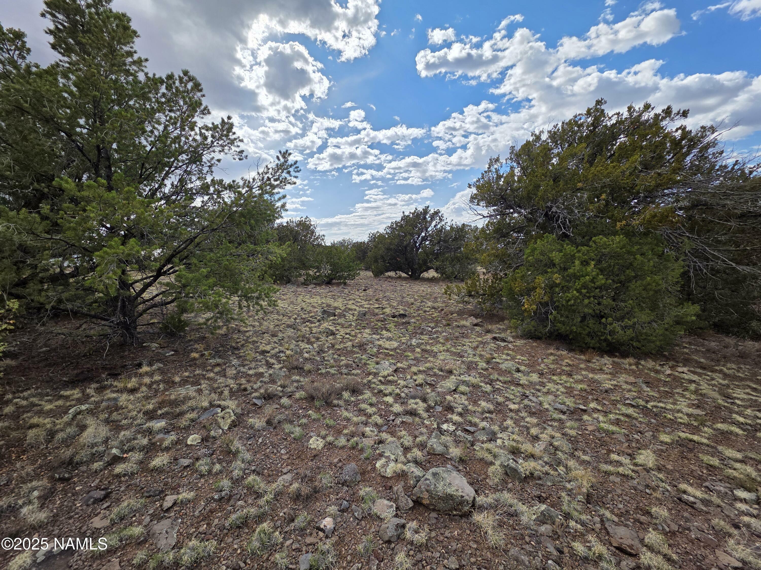 3978 Whitetail Loop  Williams AZ 86046 photo