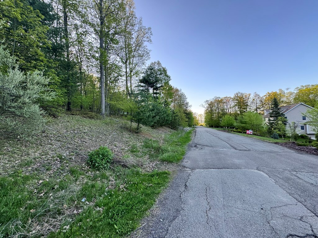 Property Photo: 0 Sullivan Drive PA 18810