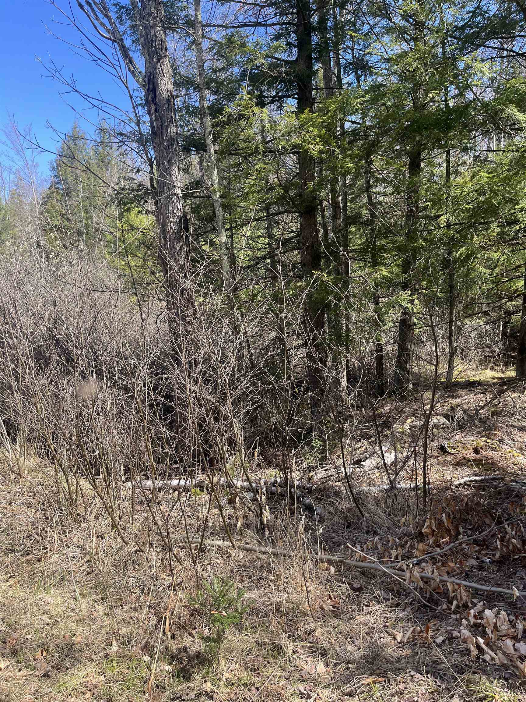 Property Photo: Lake John Road WI 54138