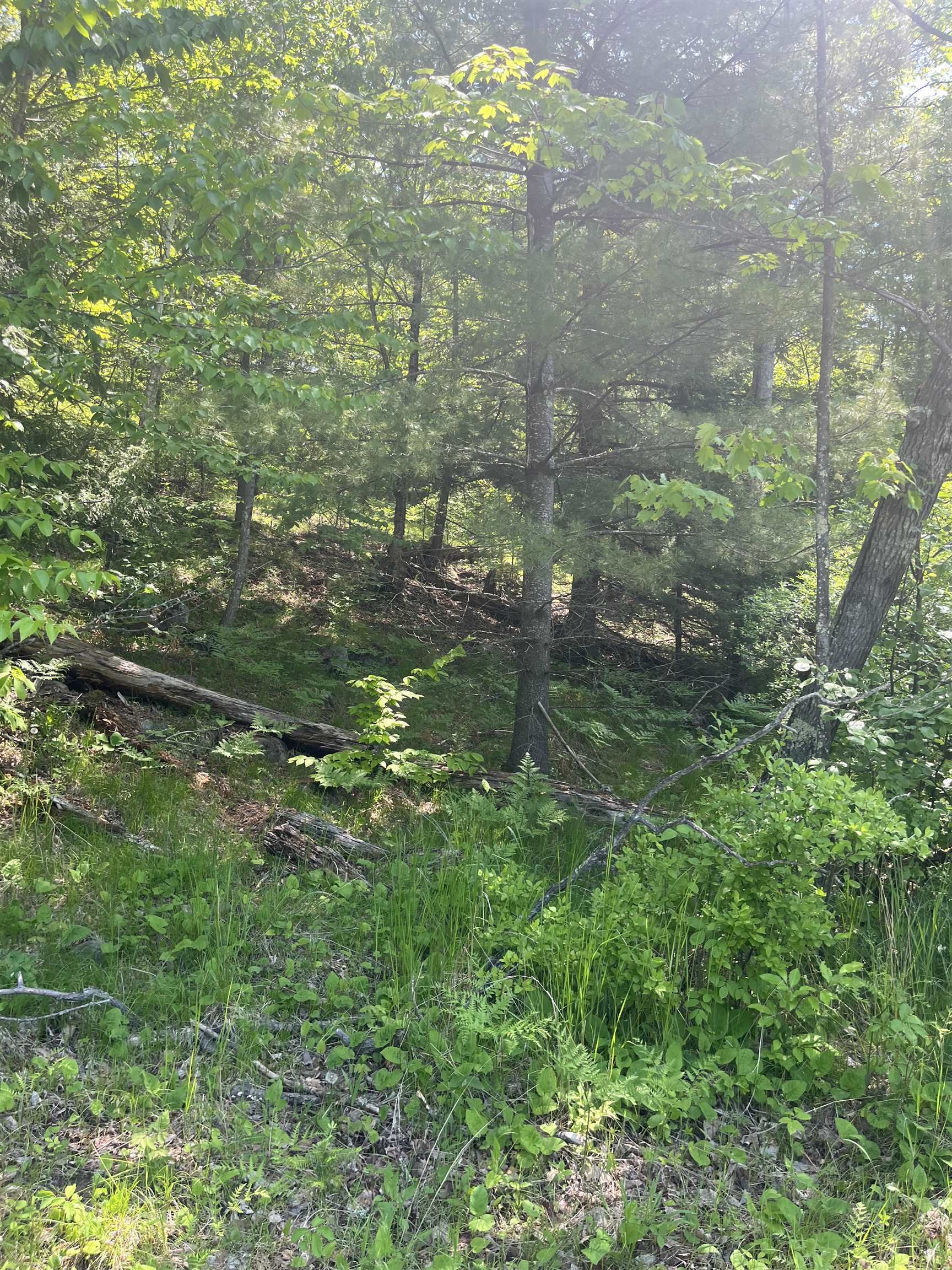 Property Photo: Lake John Road WI 54138