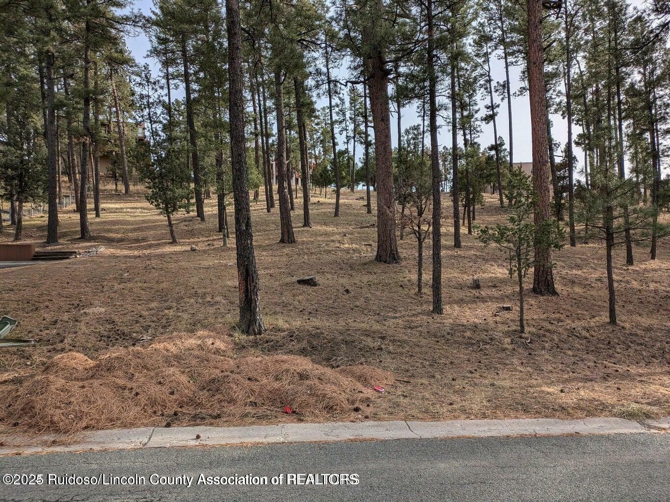Property Photo: 320 White Mountain Meadows Drive NM 88345