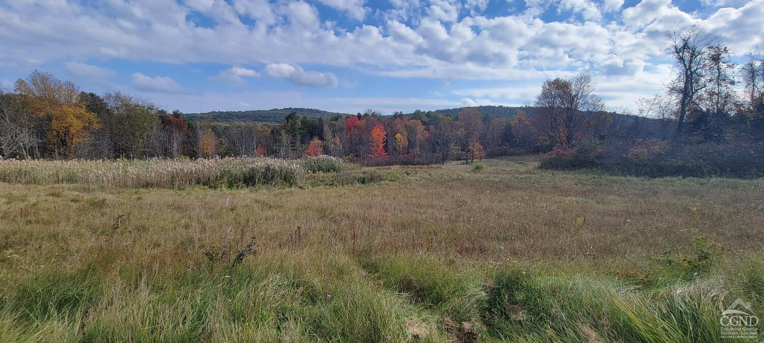 Property Photo:  468 Snydertown  NY 12521 