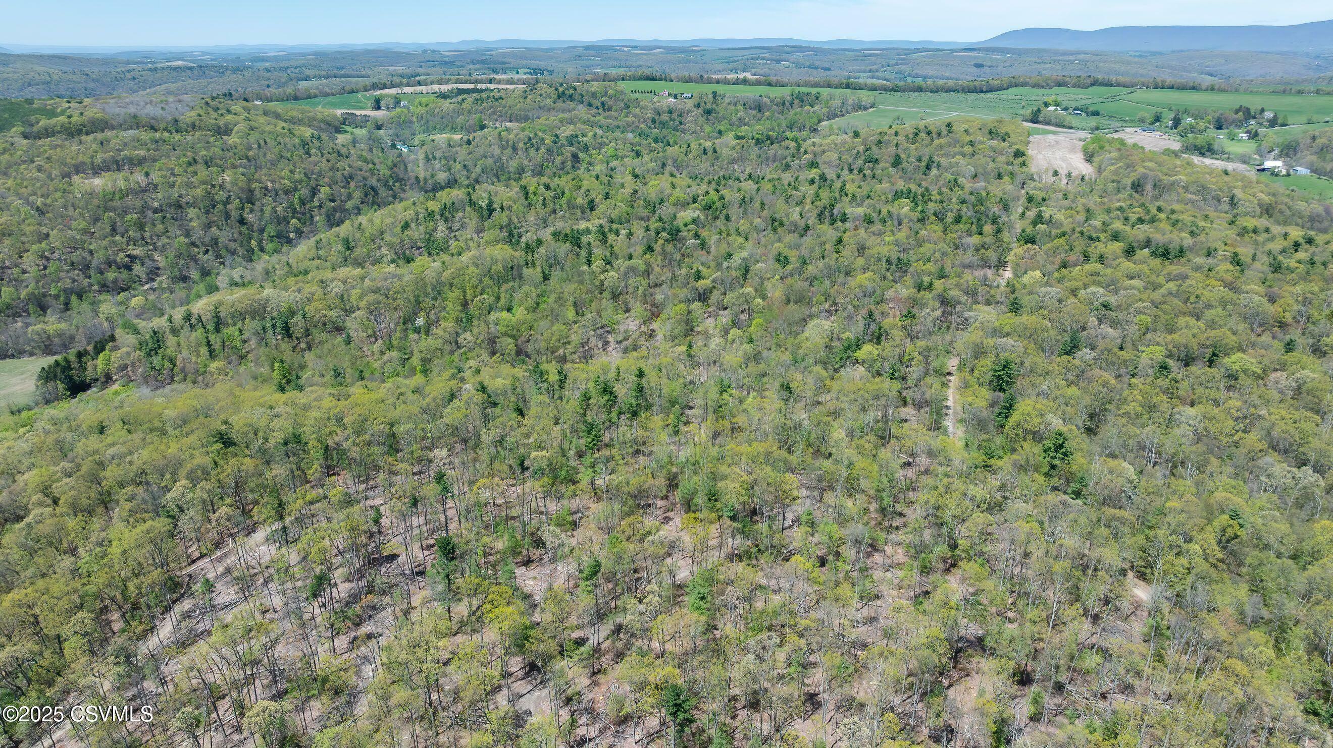 Property Photo: Lot 1 Patton Hill Road PA 17846
