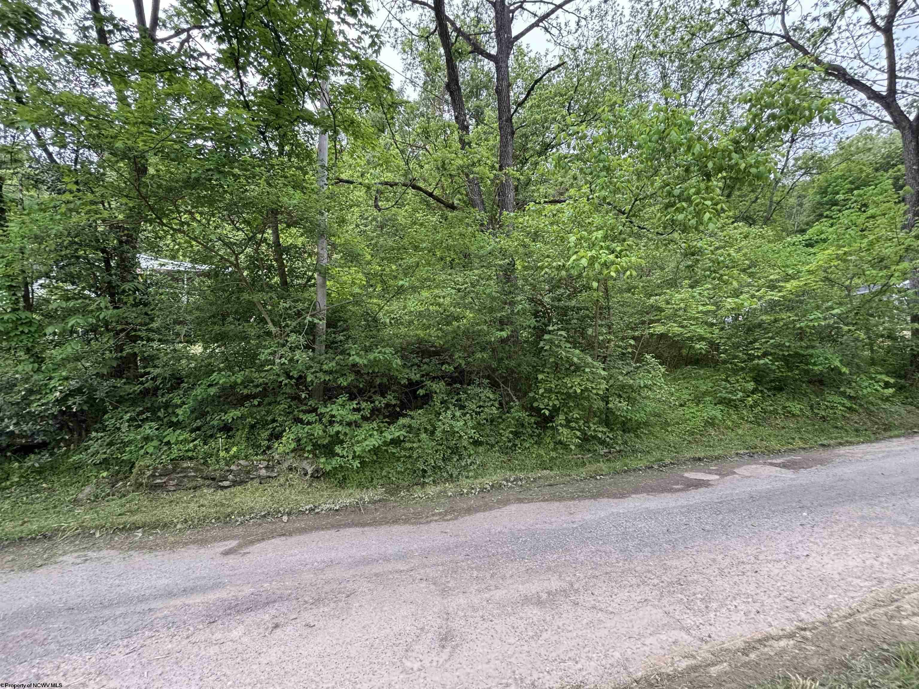 Property Photo: Tbd Durham Lane WV 26508