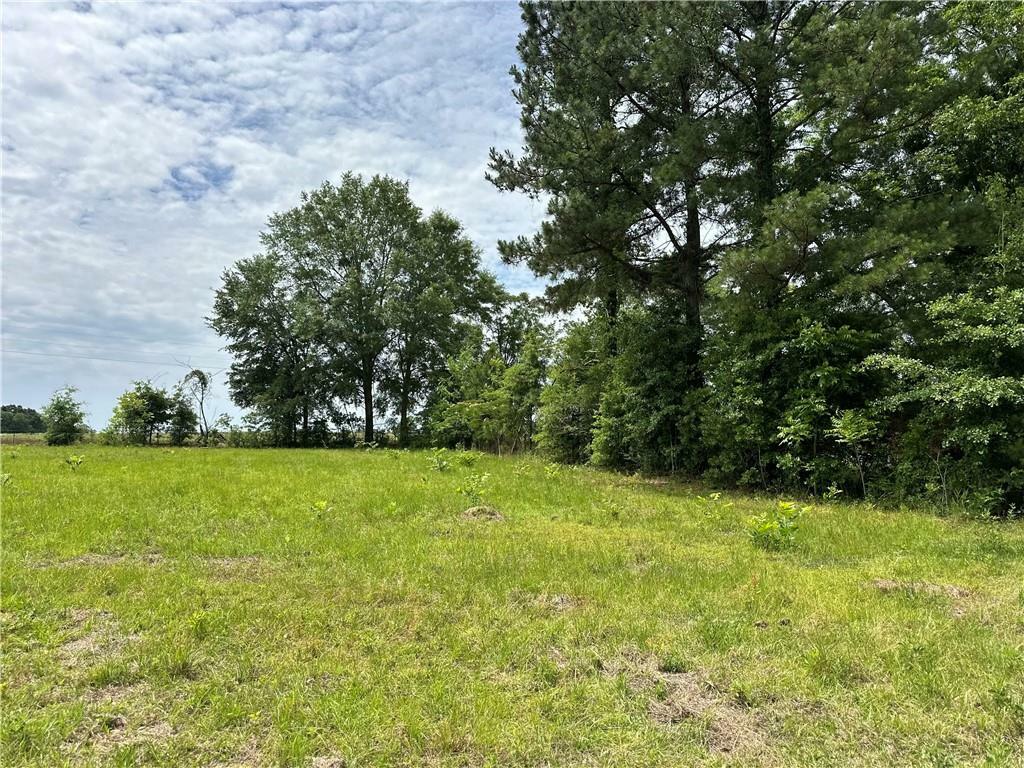 Property Photo: 0 Johnson Road AL 36375