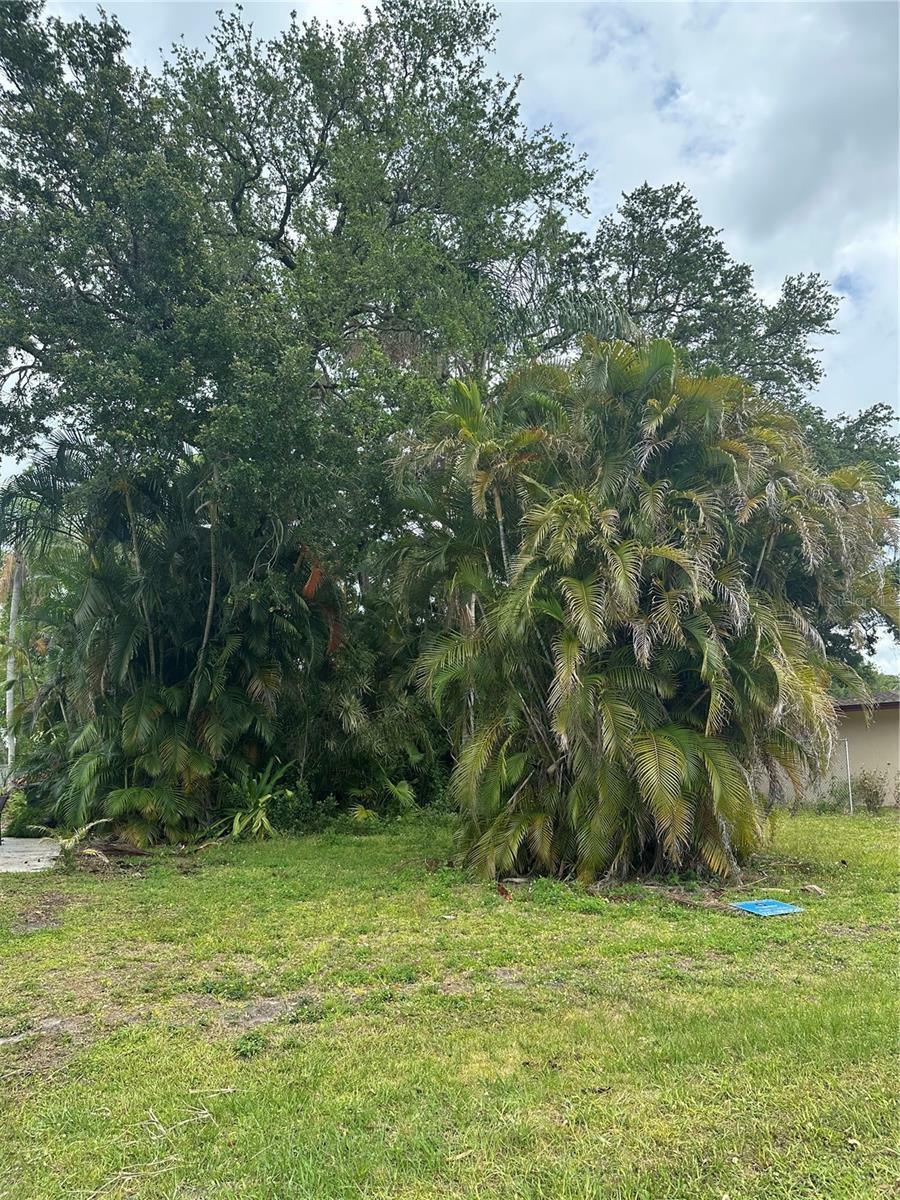 Property Photo: 0 David Avenue FL 33759