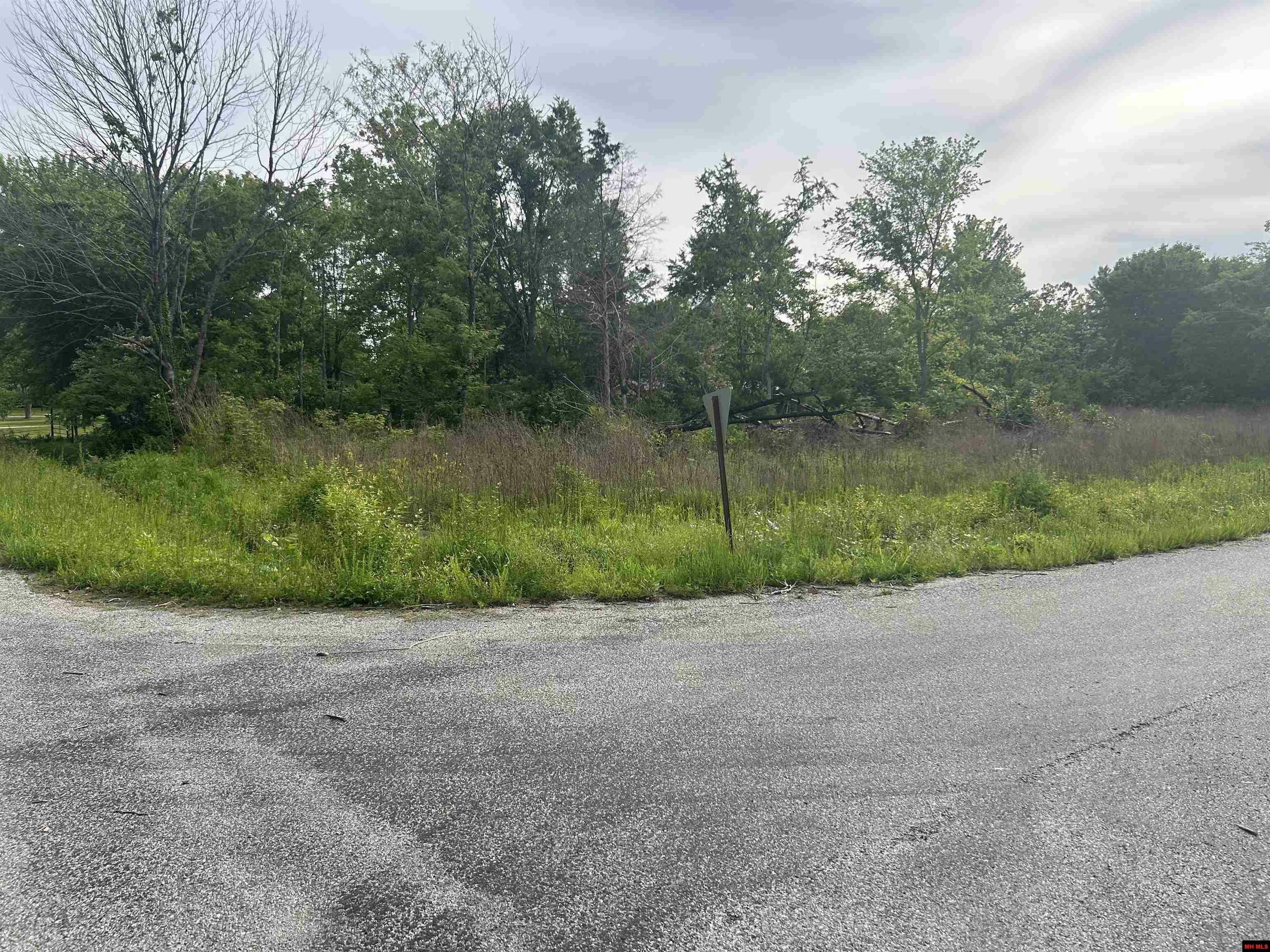 Property Photo: Lot 25 Meadowdale Street AR 72653
