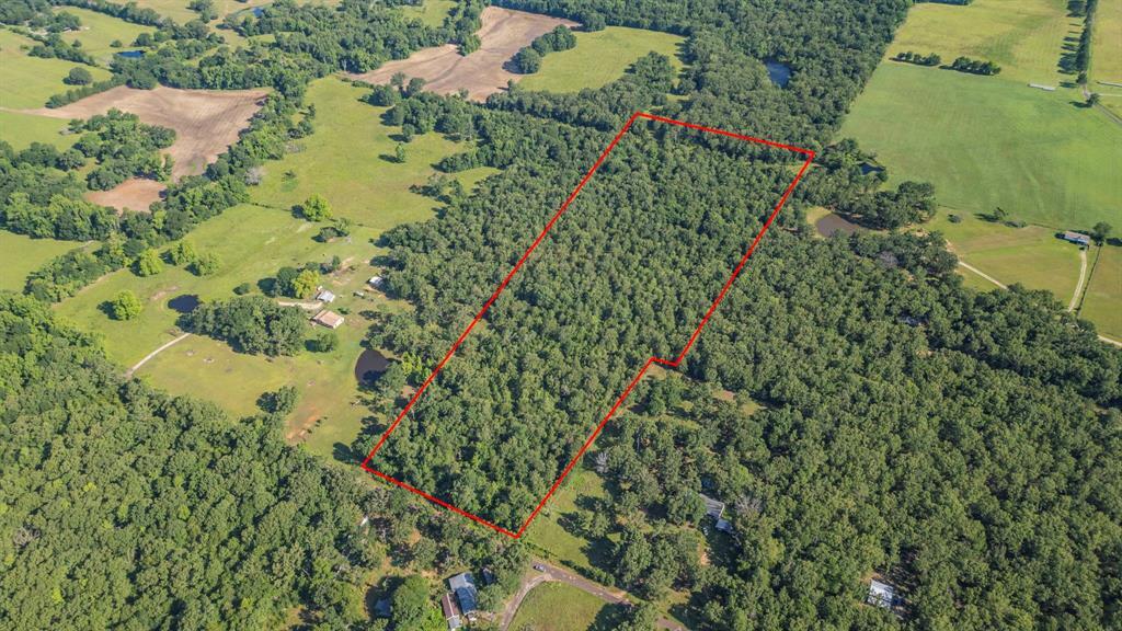 Van Zandt 1517 Cr  Grand Saline TX 75140 photo