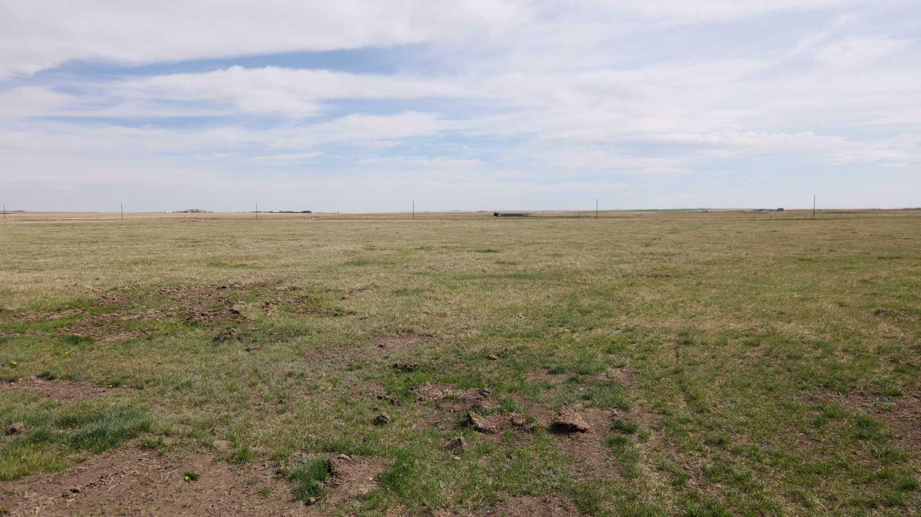 Property Photo: Vulcan County AB T0L 2B0