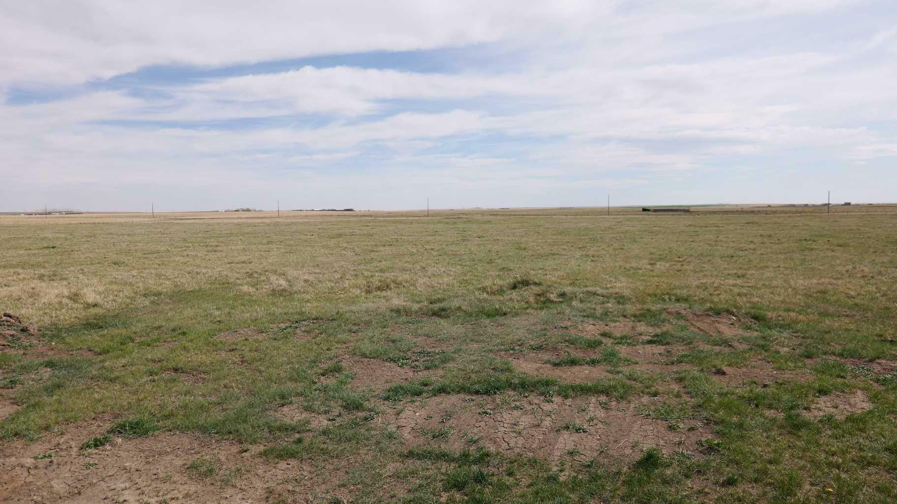 Property Photo: Vulcan County AB T0L 2B0
