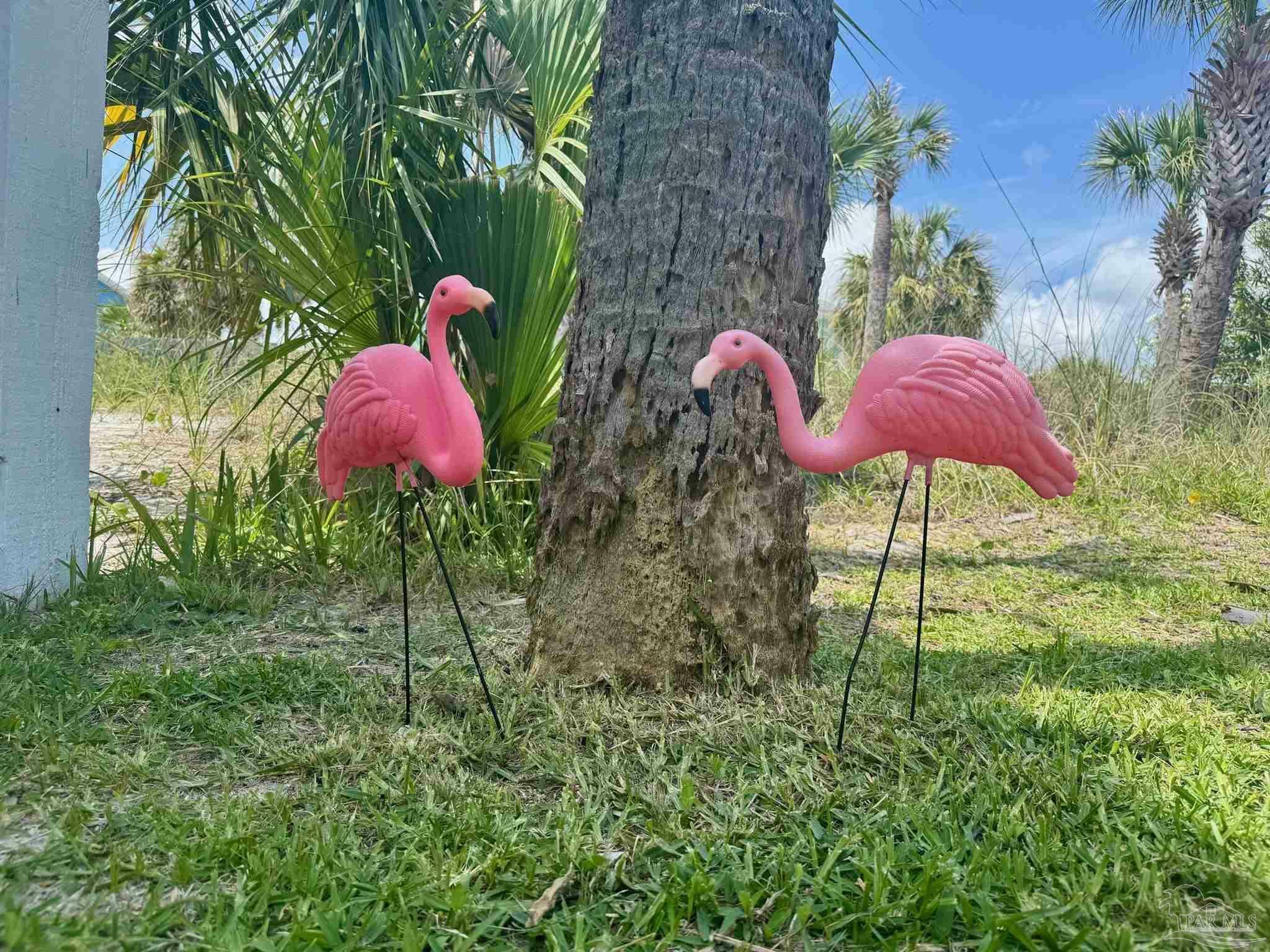 Property Photo: 1207 Ariola Dr FL 32561
